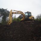 LSP- the beginning, 2008-11 Cambridge Tree Trust